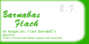 barnabas flach business card